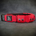 Weighted dog training collar- Red. Large breeds. 5 lbs total. removable weights