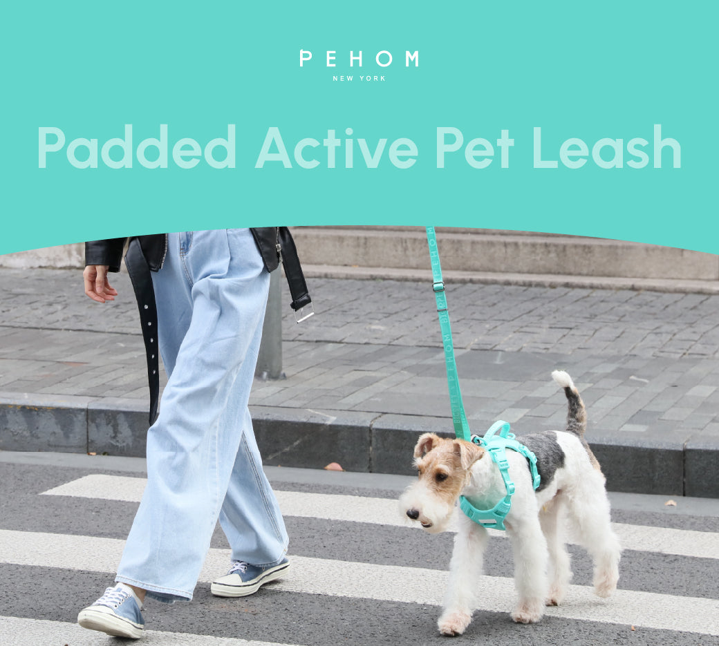 PADDED  ACTIVE  PET LEASH  - MINT GREEN