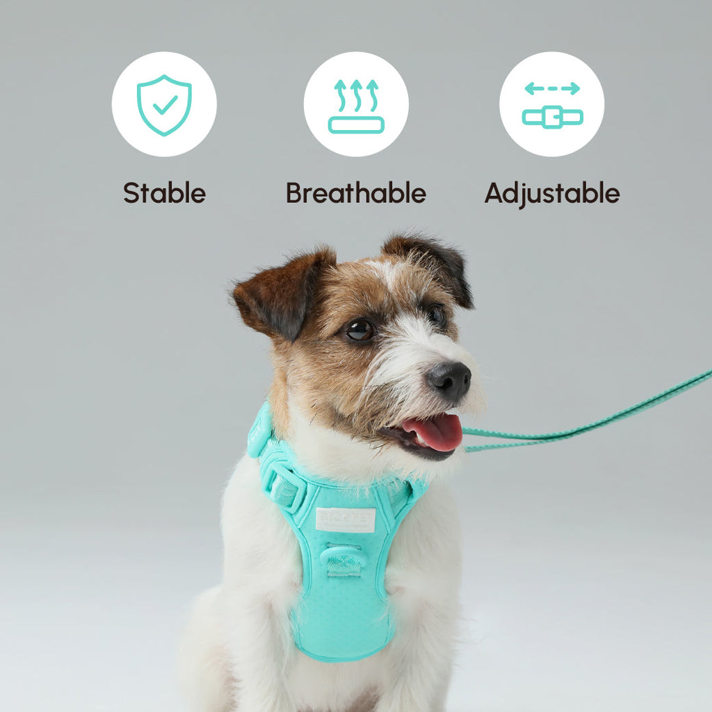 PADDED  ACTIVE  PET LEASH  - MINT GREEN
