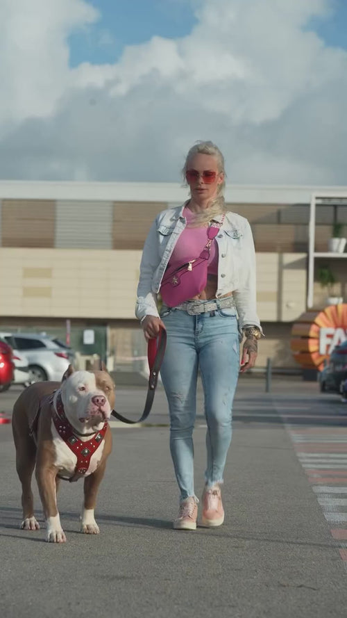 "EROS" BIG dog SET- Harness - collar - lead. Red